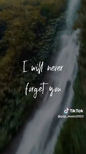 Never Forget You - Zara Larsson & MNEK (Full Song Lyrics)