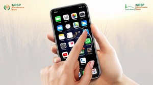 4K views · 42 reactions | Download NRSP Connect App on your iPhone and enjoy basic banking facilities from the comfort of your home. #NRSPMFBL #NRSPConnect | NRSP Microfinance Bank Limited | Facebook