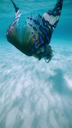 421K views · 16K reactions | If there is anything Shark Boy and Lava Girl taught me is to harness the power of dreaming with your eyes open 麗 #mermaid #mermaidtail #manifestation tail and top by Merbella Studios Inc. | Mermaid Sirenity | Facebook