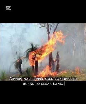 🔥 Australia’s Ancient Fire Masters: How Aboriginal People Engineered the Land for Millennia 🇦🇺