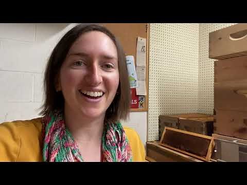 Moldy honey frames | reusing bee equipment