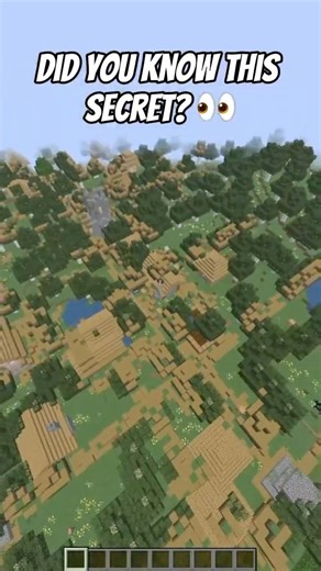 Secret command!👀 #minecraft #shorts #cheats #building #commands