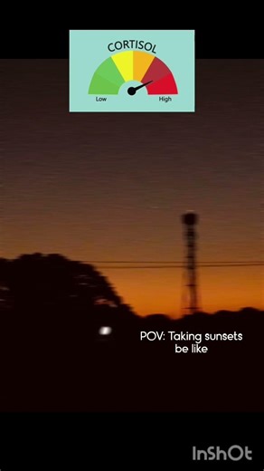 idk the title so hashtag time#lowcortisol #highcortisol #sunset #nature #rahhh