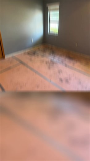 Mold Remediation After Water Intrusion in Florida Homes