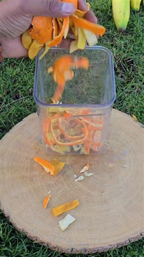 3.8K views · 38 reactions | Learn how to make a natural liquid fertilizer using fruit peels and lemon juice . This easy method helps extract soluble potassium and improves your plant nutrition naturally . #plants #organicfertilizer #potassium #gardening #plantcare | MY OWN Garden | Facebook
