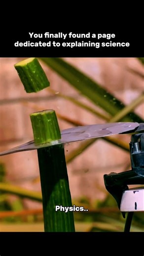 sciencestik on Instagram: "Physics: Where Curiosity Meets the Laws of Nature ⚛️ Everything in the universe — from the tiniest particle to the largest galaxy — moves to the same invisible rhythm of physics. 🌌 It’s the science that explains why things fall, why stars shine, and why time never stands still. Physics isn’t just about formulas or theories — it’s about revealing how the universe *truly works.* It transforms complex mysteries into elegant truths and connects our imagination with realit