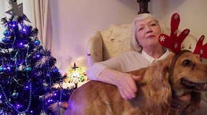 2.5K views · 360 reactions | MERRY CHRISTMAS EVERYONE! Here is Dilly (and Barley!) with a special Christmas message for you all. We hope you have a wonderful day! Team Dilly x | Dilly Court | Facebook