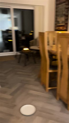 Spot the cat! #bengalcat #stupidcat #jazzcat #blur