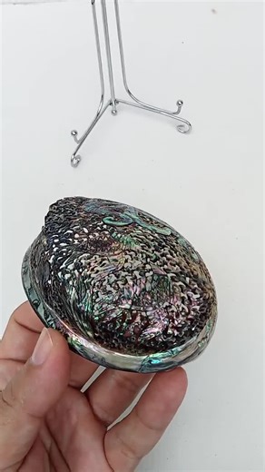 Hand Carved Abalone Shell Octopus Design: Natural Rainbow Shell Art - Etsy