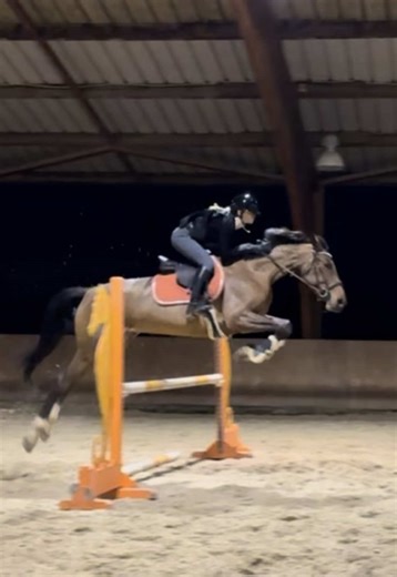 cours compet de vendredi avec Jaja ! #CapCut #devinelapersonne #pourtoi #cheval #vlog