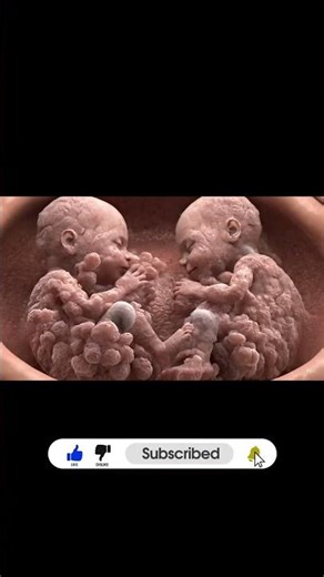 #shortsfeed #animation #baby #wombjourney #healthylifestyle #3danimation #shorts #viral