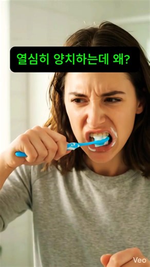 평생 찾던 칫솔을 드디어 찾았습니다 - 003. 켄트 오리지널 초극세모 칫솔 #칫솔 #생활용품