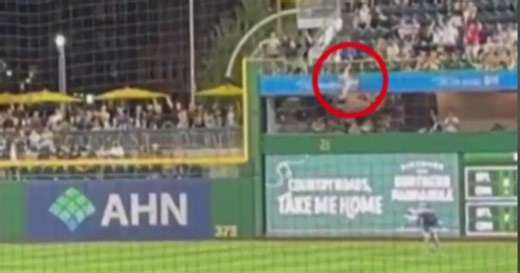 Fan falls 21 feet at MLB game, hospitalized in critical condition