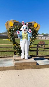 We have so much going on at the farm this Easter 🐰 . . . Don't miss out on your chance to join in! . . . Visit our website for more information www.cefnmablyfarmpark.com | Cefn Mably Farm Park