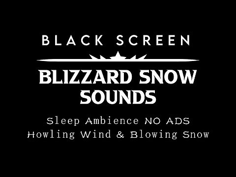 [Black Screen Snowstorm] Blizzard Sounds For Sleeping - Sleep Ambience NO ADS ┇ Wind Storm