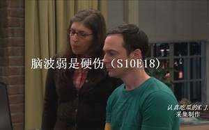 【TBBT爆笑名场面】之 脑波弱是硬伤