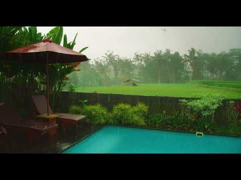 4K Rain Sound Ambience Continuous Rain Loop for Sleep, Study & Stress Relief ( 4 Hours )