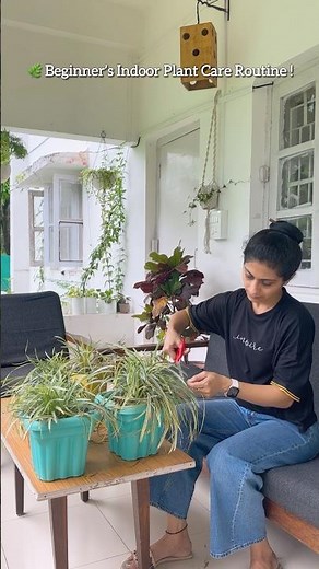 Easy Indoor Plant Care for Beginners 🪴 #shorts #gardening