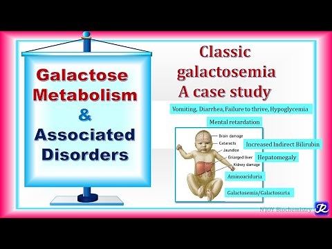 22: Galactose metabolism & Associated Disorders | carbohydrates Metabolism | Biochemistry