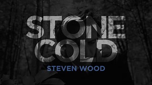 This is a brand new song I wrote and my new single coming out soon. But here's the video for you to enjoy now. I am sure all of us can relate to this message. I hope it breaks some ice in some cold hearts out there. 🙏🏻 | Steven Wood Music