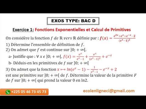 BAC D MATHS : Comment dompter l'exponentielle et ses primitives (Exercice Type détaillé)