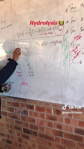 Hydrolysis Explained: Basic Concept and Examples