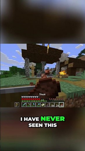 When did Minecraft add armor stands in villages?! #minecraftsurvival #cozygaming