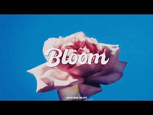 (FREE) R&B City Pop Chill Type Beat!! “Bloom”