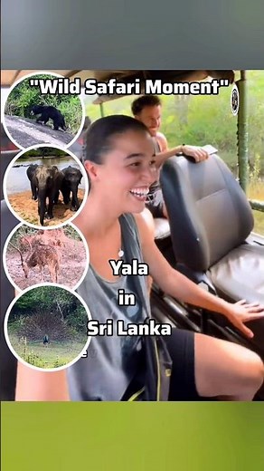 Insane Wildlife Safari 🐘🐆🐻 in Yala National Park | Sri Lanka Jungle Action
