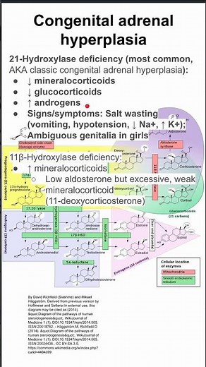 Congenital adrenal hyperplasia