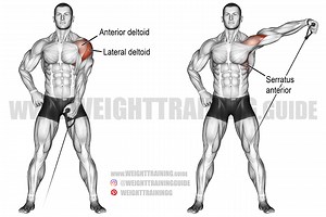 Cable one-arm lateral raise instructions and video | Weight Training Guide