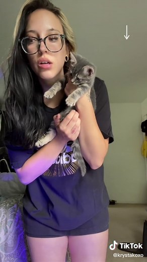 What Should We Name Her? Top Gray Kitten Name Ideas