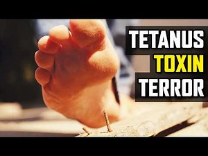 Tetanus: Mongolian Warriors’ Deadly Poison Arrows!