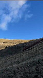 Headed to pack out Kristy Lee Cook elk! | Hannah Barron Outdoors