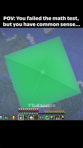 POV You failed the math test, but you have common sense