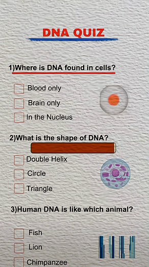DNA Test Quiz: Can You Get 6/6?