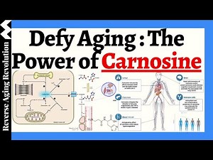 DEFY AGING - The Power Of Carnosine To Your Heart, Brain & Muscle!