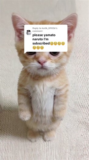 Explore Yamato in One Piece: Epic Edits and Moments