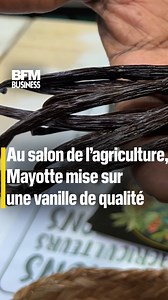 76K views · 862 reactions | Au salon de l’#agriculture, #Mayotte mise sur une #vanille de qualité  Face à la concurrence de #Madagascar, géant mondial de la vanille, Mayotte décide de privilégier un produit de qualité. Avant le cyclone #Chido, la petite île de l'océan indien produisait une tonne de vanille noire par an. ️ Emmanuelle Depiot #entreprise #business #économie #salondelagriculture | BFM Business | Facebook