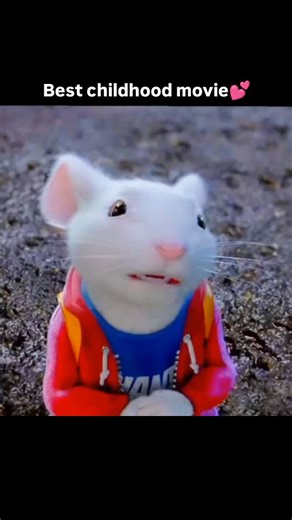 Animations Movies Scenes | And more | 🎥Stuart little Overview Upon getting adopted by the Littles, Stuart the mouse is unwelcomed by his new brother George. So, when Stuart... | Instagram
