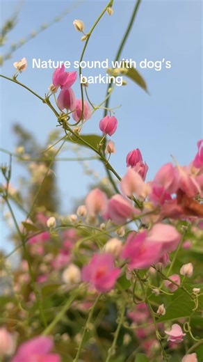 Bendly R. B on TikTok