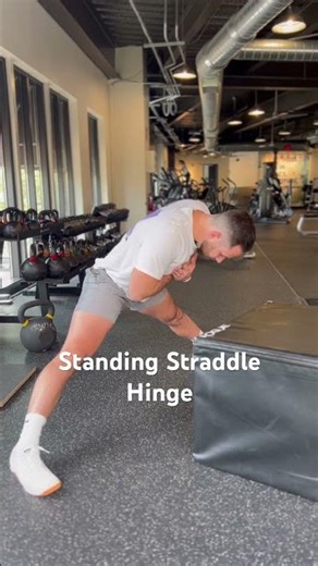 Standing Straddle Hinge
