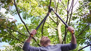 Fiskars 6 in. Titanium Micro-Tip Pruning Shears with Softgrip Handles (6-Pack) 2009108