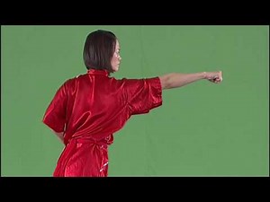 Changquan long fist hand forms and hand techniques - modern wushu taolu