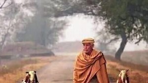 15 reactions · 3 comments | Goat Farming Training // تربیتی جماعتیں | Goat Land Farms | Facebook