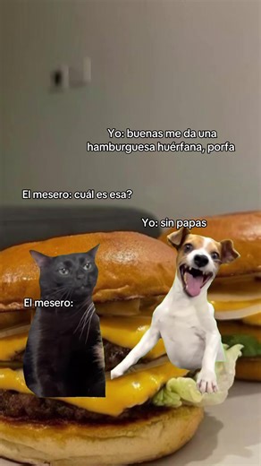 Momentos divertidos de memes en la vida cotidiana