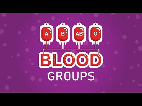 What are blood groups?