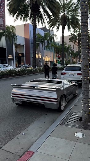 Explore Iconic Beverly Hills and Rodeo Drive | Vector and Kodak
