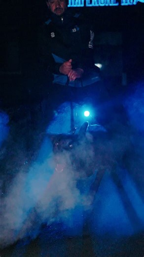 Chaperone K9 Groovy is on duty with a returning family who already own one of our Chaperone K9s — and couldn’t be happier. Repeat clients are the greatest compliment, and we’re proud to continue protecting families who place their trust in us. If you’re considering a family protection dog, get in touch and let’s begin your journey. #malinois #protectiondog #dogtrainer #workingdog #chaperonek9 | Chaperone K9