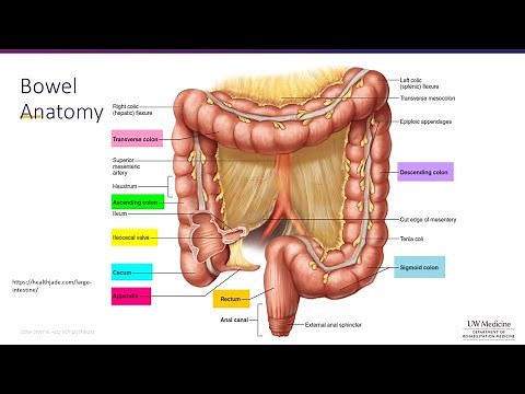 Bowel Management After Spinal Cord Injury